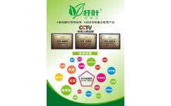 纖葉硅藻泥服務(wù)商 武漢創(chuàng)唯美環(huán)保科技