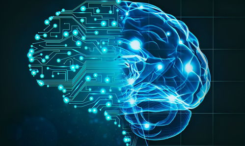 AI模擬生物進化 計算機軟硬件技術開發(fā)揭開生命起源新篇章